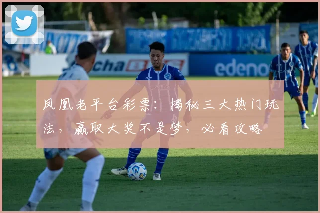 凤凰老平台彩票：揭秘三大热门玩法，赢取大奖不是梦，必看攻略
