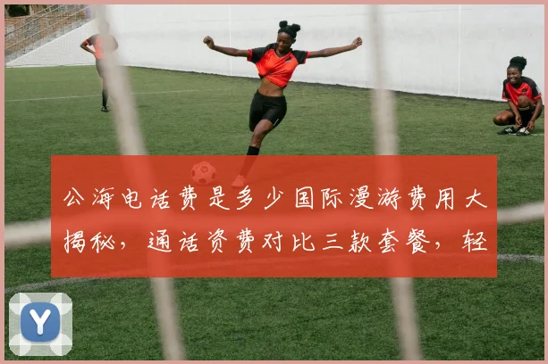 公海电话费是多少国际漫游费用大揭秘，通话资费对比三款套餐，轻松选最省
