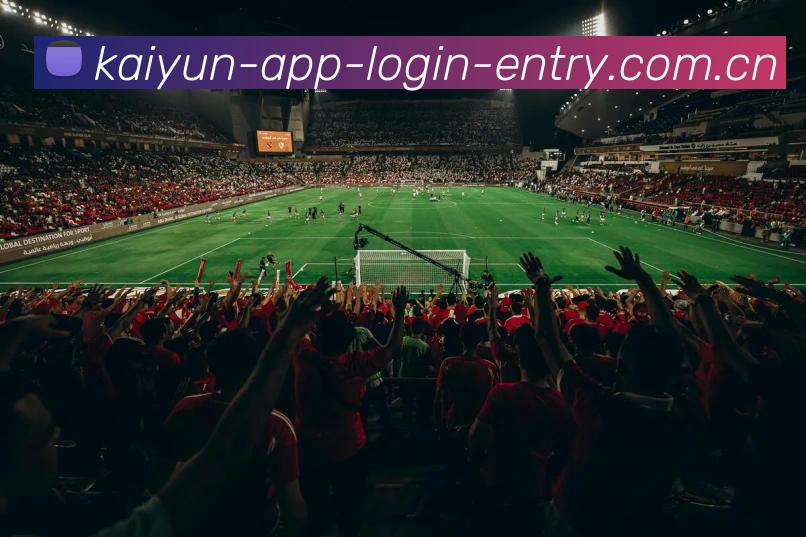 开云app登录入口平台生态图