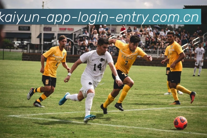 开云app登录入口全站App